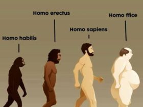 Homo ffice ou Super Sapiens