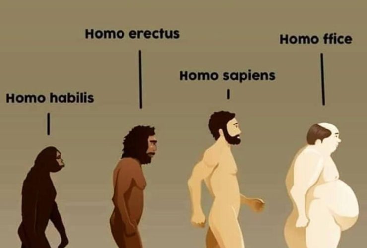 Homo ffice ou Super Sapiens