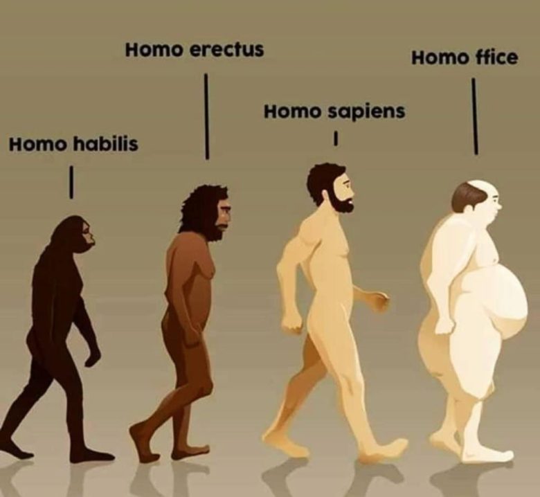 Homo ffice ou Super Sapiens