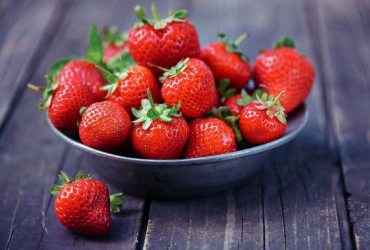 Frutas Dieta Cetogênica