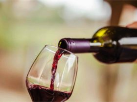 Vinho Tinto e Saúde