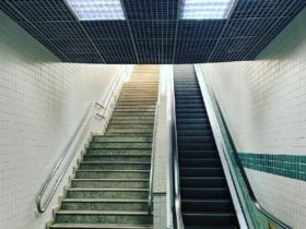 Saúde e Escolhas Saudáveis