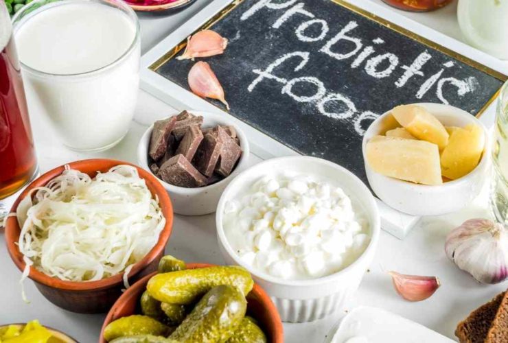 Alimentos Fermentados