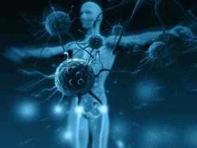 Sistema Imunológico