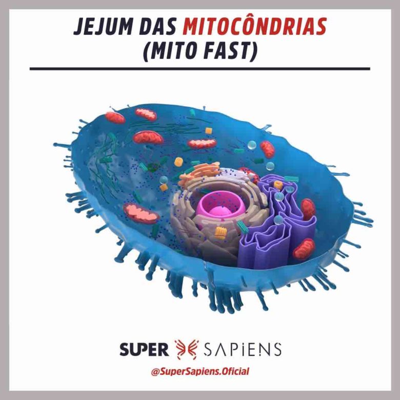 Jejum das Mitocôndrias (Mito Fast)